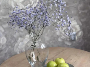 Квартира в самом центре города рядом с парком