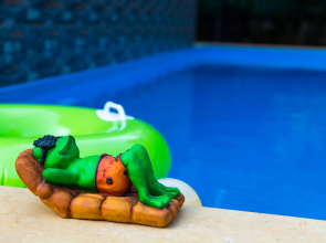Lazy Frog Goa Guest House