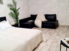 Квартира  Лофт около аквапарка