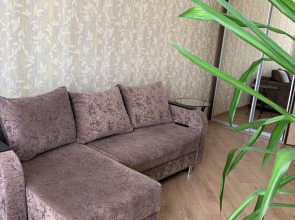 Апартаменты Александровский 2