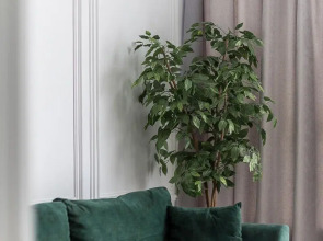 Апартаменты на улице Короленко