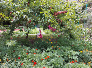 Гостевой Дом Отдых у Александра