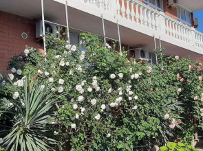 Гостевой дом на Садовой 62