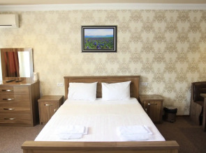 Отель New Palace Shardeni