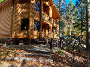 Lesogorye Guest House