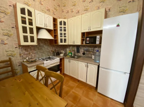 Апартаменты 2-х комнатные на Невском 65