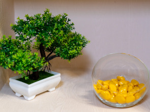 Апартаменты Солнечная Студия