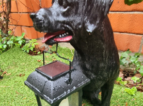 Апартаменты Сауна и Терраса