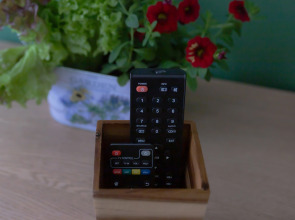 Апартаменты Alpine Castle 1