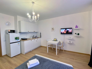 Квартира Студия Зеленая в Песочном