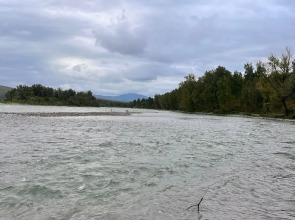 Гостевой Дом Хвоя