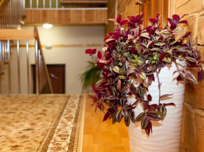 Гостевой Дом «Уютный Тёплый Дом»