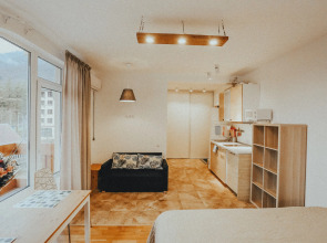 Апартаменты с Видом на Горы 1