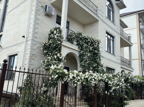 Aleksandr Guest house