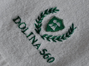 Гостевой Дом Dolina 560