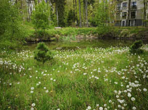 Апартаменты Serenity в окружении Реликтового Леса