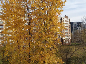 Апартаменты Сантарини