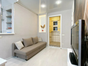 Апартаменты Apart-Comfort на Володарского 55