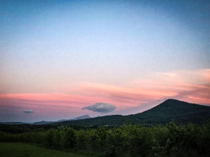 Thach from Travel Hotels Entourage