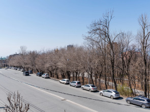 Квартира около городского парка