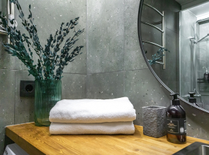 Апартаменты Queenstay Питер лофт