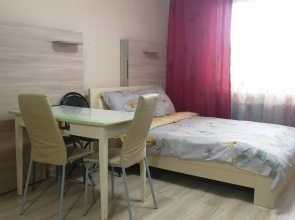 Studiya V Pirogovo Flat