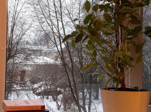 Апартаменты Sun Home