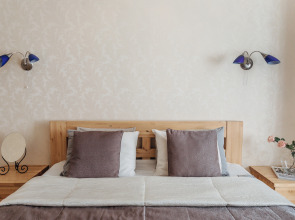 Квартира с видом на Казанский собор