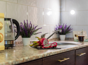 Квартира Райдас на Зеленой 23