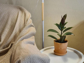 Квартира Apart_Comfort