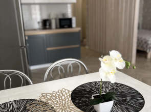 Апартаменты на Папанина 3