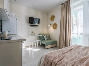 Студия на Московском шоссе 167, ЖК Москва-Град. Сова-Дом