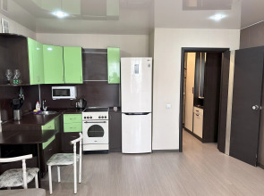 Квартира уютная на Воронкова 27