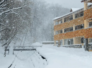 Отель Цахкаовит