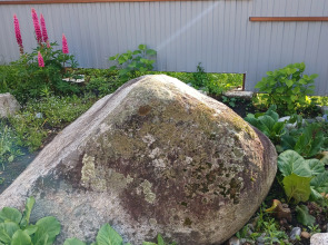 Гостевой Дом Хвоя