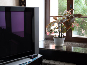 Отель Комнаты Сарацин