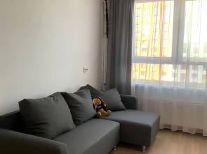 Квартира просторная однокомнатная на 5 спальных мест