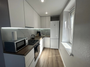 Квартира двухуровневая у Московского проспекта