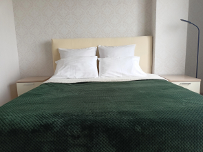 Квартира 2-комнатная Квартира с отличным ремонтом