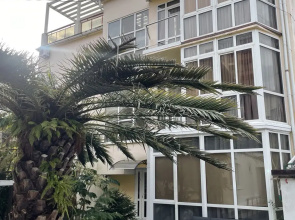 Guest House Sirius