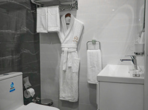 Отель Aliz Boulevard