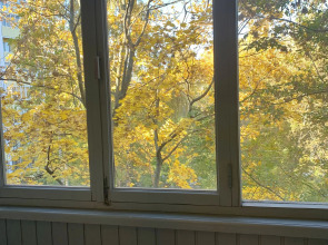 Апартаменты Белинского 102