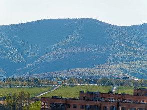 Апартаменты в Жк Ceмейный от LеtоАрart