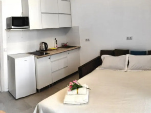 Апартаменты Сиреневый 33/1