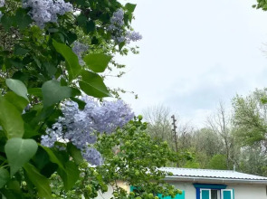 База отдыха Домик в Лотосах