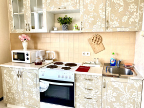 Квартира Однокомнатная Рядом Аэропорт-ЖД вокзал