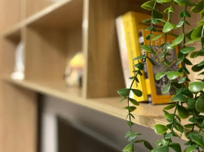 GOROD Si студия в ЖК Галактика