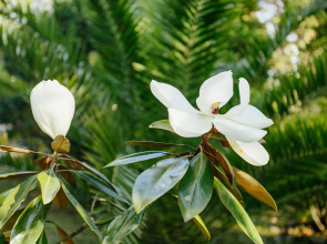 Amra Park Hotel & Spa