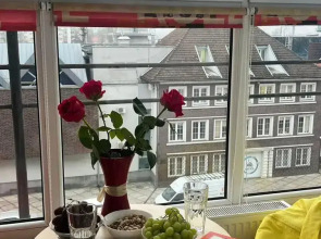 Апартаменты с Видом на Музей Мирового Океана