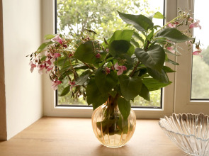 Квартира Двухкомнатная в центре